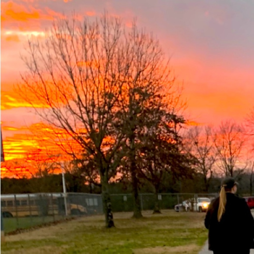 Meet your Posher, Taniya